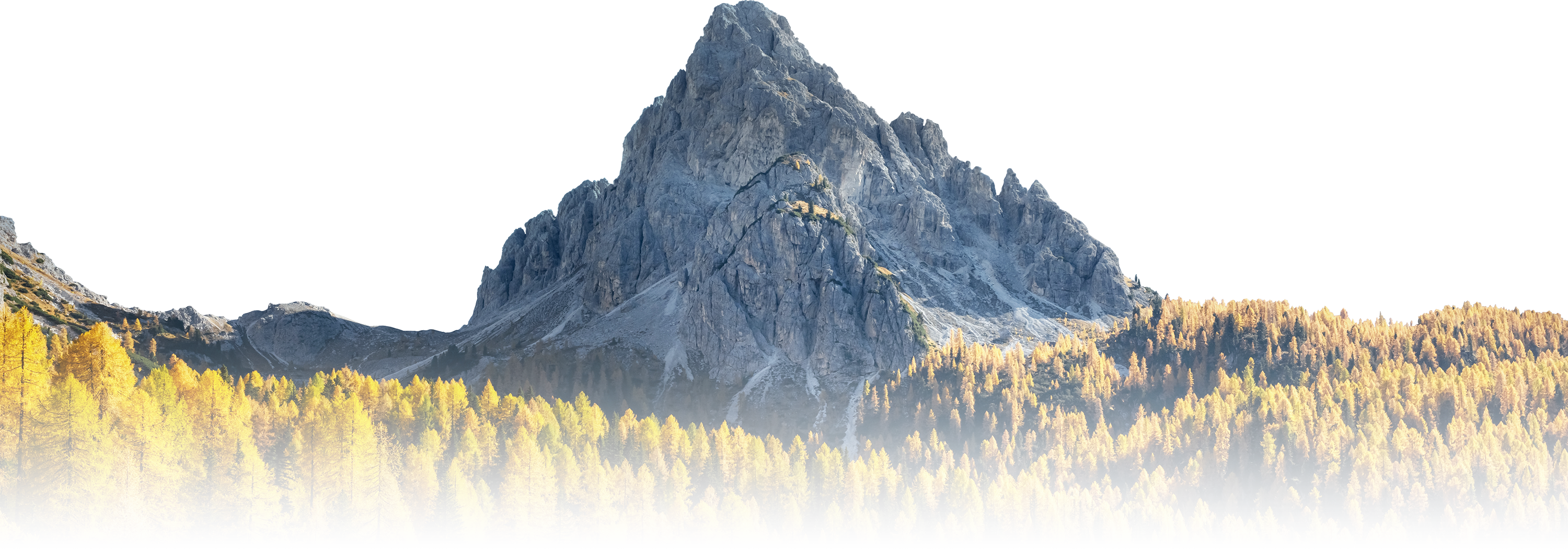 Mountain Front with Trees