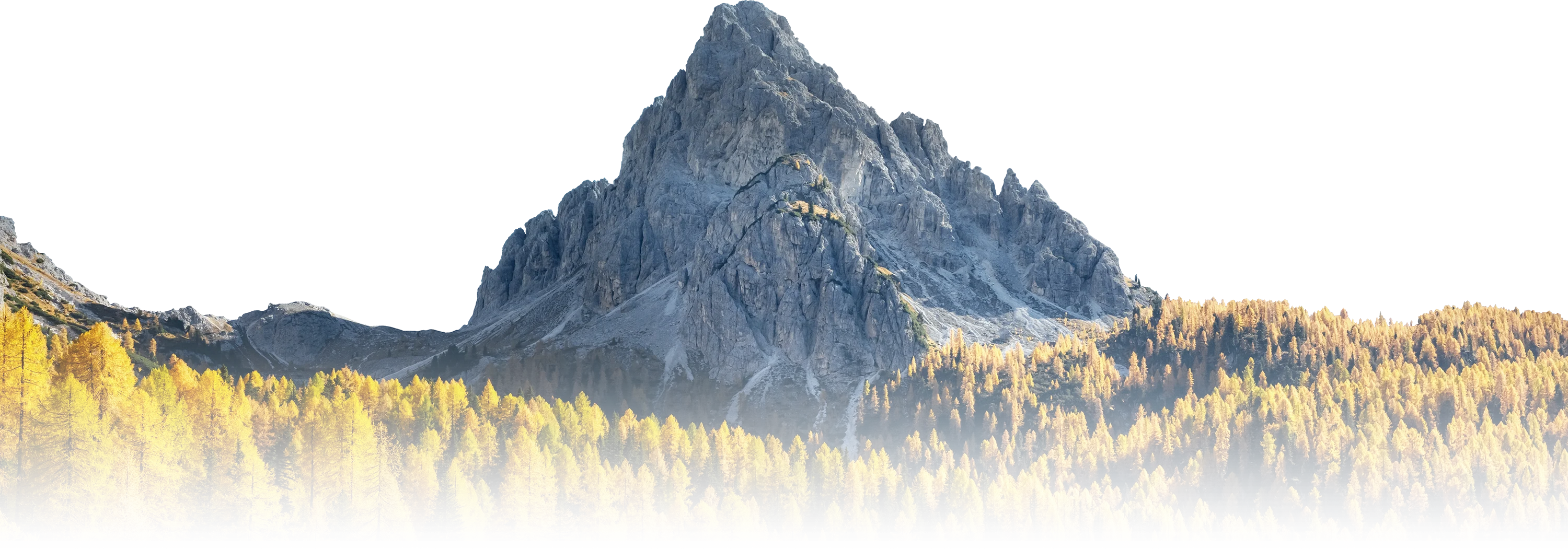 Mountain Front with Trees