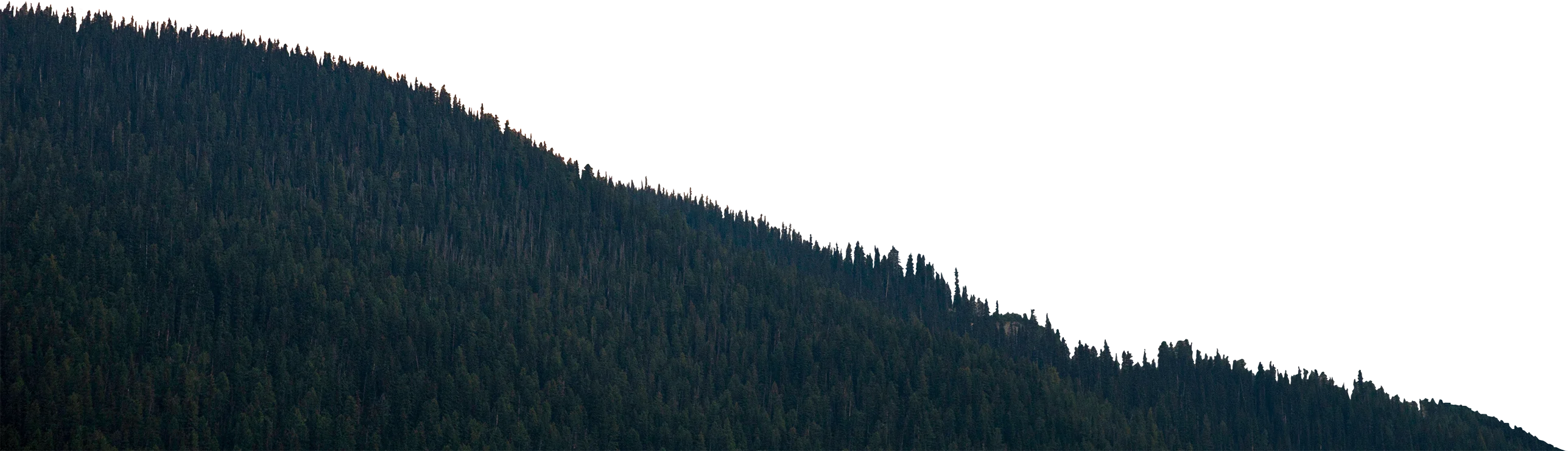 Mountain Front with Trees