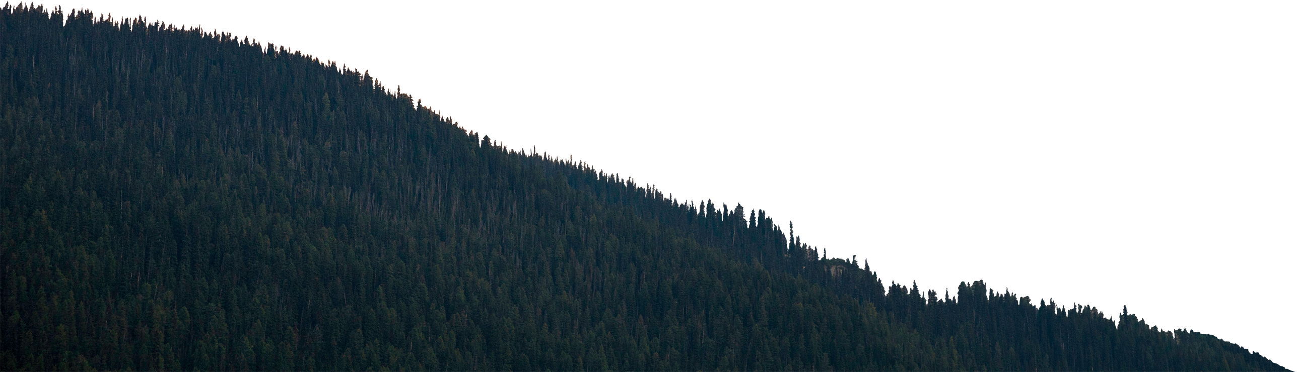 Mountain Front with Trees