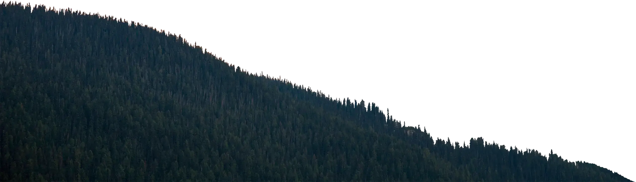 Mountain Front with Trees